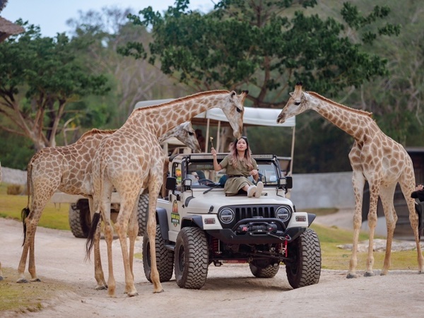 Hua Hin Safari Adventure Park