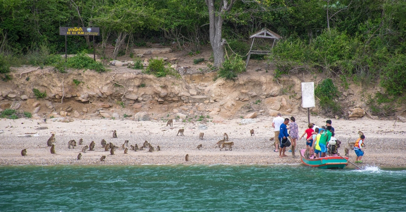 Siam Sea-Cret Cruise — photo 3